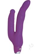 Sex Double Penetrator Vibrator - Purple
